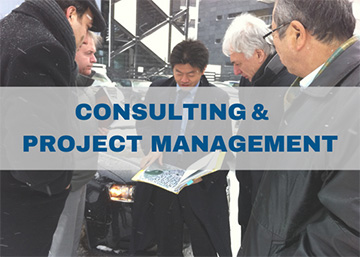 Consulting & project management
