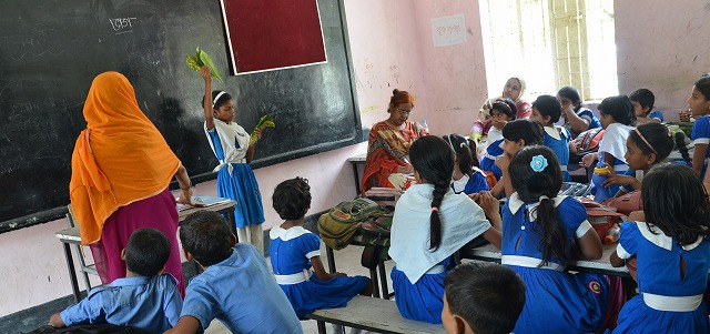 Primary Level Teacher Training (Bangladesh)