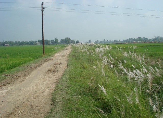 持続的道路交通に関する能力強化(ネパール)