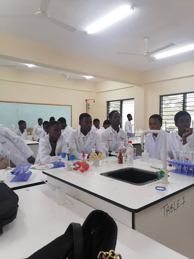Comparative Analysis of Primary and Secondary Mathematics and Science Curriculum in Africa (Domestic, Project Research)